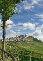 wijn dorp van la Morra, Piemonte, Italië foto