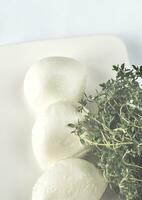 Mozzarella met kruiden foto