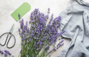 bundel van lavendel Aan beton achtergrond foto