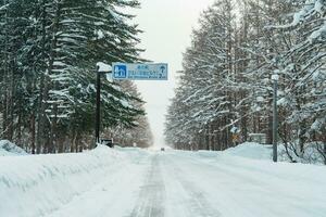 mooi sneeuw weg Woud visie gedurende auto het rijden in winter seizoen. winter reis, weg reis, avontuur, verkennen en vakantie concepten foto