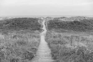 de eiland van wangerooge foto