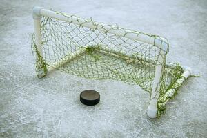 doel scoorde door een hockey puck in de doel netto foto