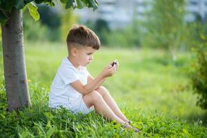 vrolijk kind zittend Aan de gras looks tekenfilms in de telefoon in de zomer Bij zonsondergang. schattig jongen hebben pret in natuur foto