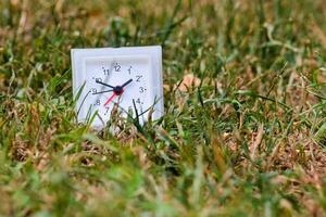 een klein klok zittend in de gras foto