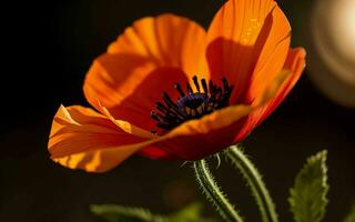 gestileerde rood papaver Aan zwart herinnering dag symbool ai gegenereerd foto