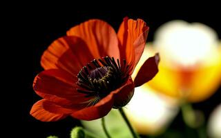 gestileerde rood papaver Aan zwart herinnering dag symbool ai gegenereerd foto