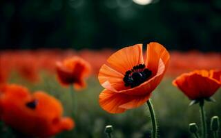 gestileerde rood papaver Aan zwart herinnering dag symbool ai gegenereerd foto