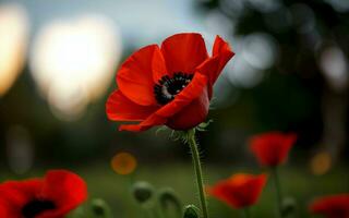 gestileerde rood papaver Aan zwart herinnering dag symbool ai gegenereerd foto