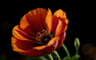 gestileerde rood papaver Aan zwart herinnering dag symbool ai gegenereerd foto