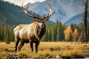 ai gegenereerd hert in de Woud. dieren in het wild tafereel. 3d weergave, stier elanden in stroom, ai gegenereerd foto