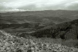 bergen en bossen foto