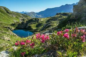 cheserys, massief van maand blanc, chamonix, haute Savoie, Frankrijk foto