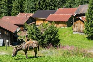 circus van lettertypen, haute Savoie, Frankrijk foto