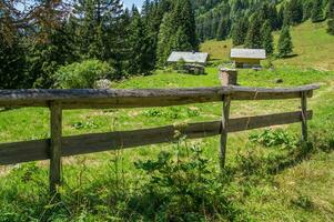 bionassay, haute Savoie, Frankrijk foto