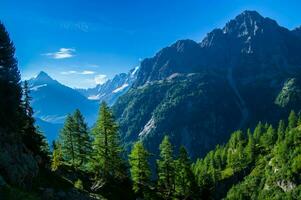 Vallorcine, haute Savoie, Frankrijk foto