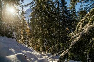 chamonix, haute Savoie, Frankrijk foto