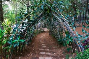 houten kader weg tunnel in kebun rojo, malang, oosten- Java, Indonesië foto