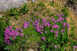 meer clausule ceillac inqeyras in hautes alpen in Frankrijk foto