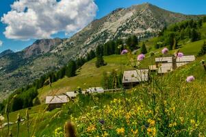 chalmettes ceillac in qeyra's in hautes alpen in Frankrijk foto