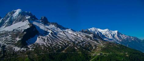 pecleret, arge, tiere chamonix, hoog Savoie, Frankrijk foto