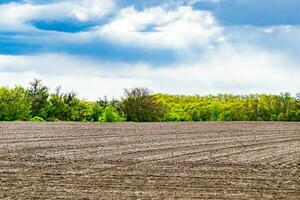 fotografie Aan thema groot leeg boerderij veld- voor biologisch oogst foto