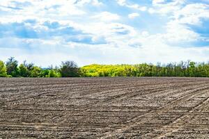 fotografie Aan thema groot leeg boerderij veld- voor biologisch oogst foto