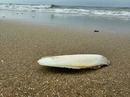 impressies van de eindeloos strand Bij de noordelijk zee in blavand Denemarken foto