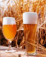 twee bril van bier in een tarwe veld- foto