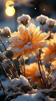 winter calendula bloem gedekt door sneeuw avond zon ai gegenereerd foto