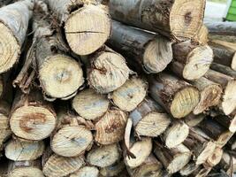 stack van gehakt hout logboeken in winter foto