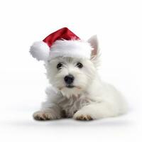 een wit hond vervelend een de kerstman hoed, ai gegenereerd foto