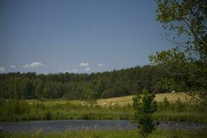 zomer landschap Polen foto