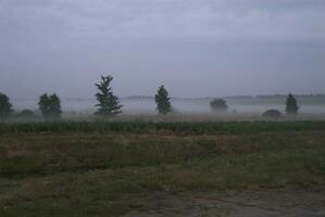 Polen zomer landschap foto