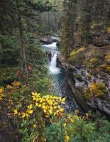 johnston canyon bovenste watervallen stromend in diep bos bij Banff National Park foto