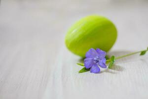 bloem vinca in de buurt de groen Pasen ei. Pasen achtergrond. foto