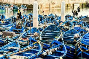 veel blauw visvangst boten zijn aangemeerd in de water foto