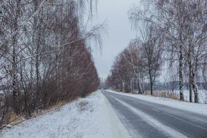 met sneeuw bedekt weg met berken zonder gebladerte. auto Aan een glad weg. gerold bijhouden Aan eerste sneeuw. Gevaar van drijft. foto