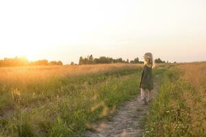 een weinig blond meisje is zittend wandelen Aan een kamille veld- en verzamelen een boeket van bloemen. de concept van wandelen in natuur, vrijheid en een schoon levensstijl. foto