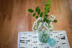 jasje van wit acacia in geneeskunde fles gevulde met gescheurd bloemen. bundel van acacia bloemen. honing voorjaar fabriek. takken van zwart sprinkhaan, robinia pseudoacacia, false acacia. selectief focus. foto