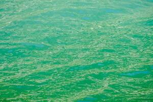 de water is groen en heeft sommige algen Aan het foto