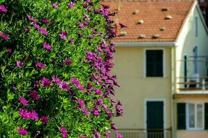 een huis met Purper bloemen in voorkant van het foto