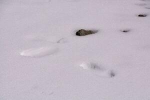 voetafdrukken in de sneeuw foto