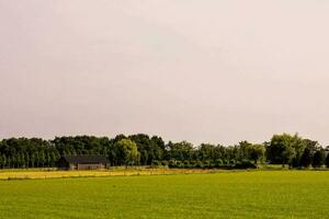 een boerderij in de midden- van een groen veld- foto