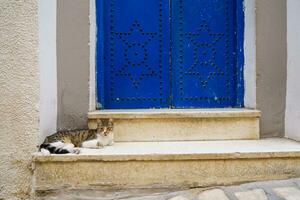 beeld van oud deur in tunesië. Arabisch stijl architectuur foto