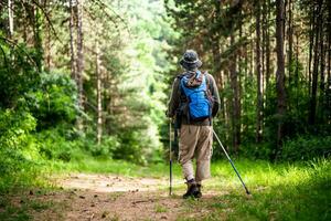 beeld van Mens geniet wandelen in natuur foto