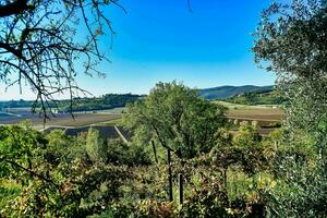 een visie van de platteland foto