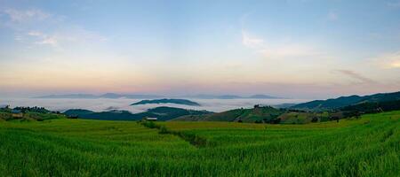 landschap van groen en goud rijst- terrassen en berg bereiken en mist in de ochtend. mist gedekt bergen en mooi ochtend- lucht. natuur landschap. rijst- boerderij veld- dorp in vallei, Thailand. foto