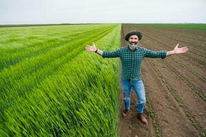 gelukkig boer met armen uitgestrekt staand naast zijn groeit tarwe veld- foto