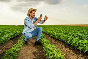 gelukkig boer gebruik makend van mobiel telefoon terwijl uitgeven tijd in zijn groeit soja veld- foto