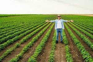 gelukkig boer met armen uitgestrekt staand in zijn groeit soja veld- foto